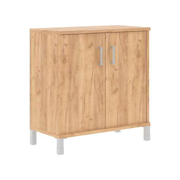 Шкаф низкий с глухими малыми дверьми B 410.2 900х450х920 BORN в Липецке 